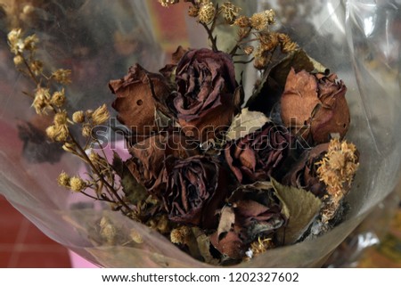 dried flowers in arrangement