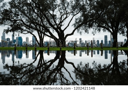 Perth skyline reflected in puddle under trees