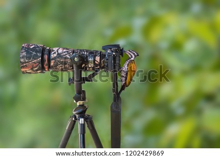  bird on the camera in the jungle