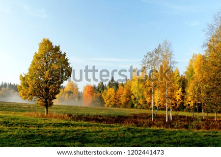 Charming autumn landscape with colorful trees