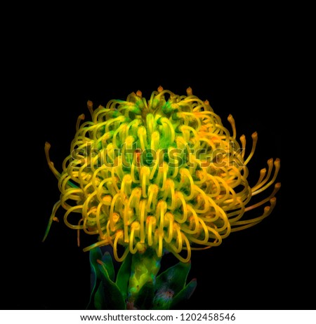 surrealistic vintage macro of a neon glowing protea blossom on black background,fine art still life floral image of the inner of a single isolated green yellow bloom with detailed texture in painting 