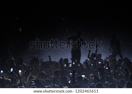 Silhouette of the artist and fans at the concert