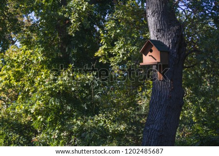 Wooden birdhouse on a tree in the forest and park.