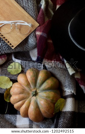 Autumn photo with a pumpkin on a plaid. Autumn decorating.