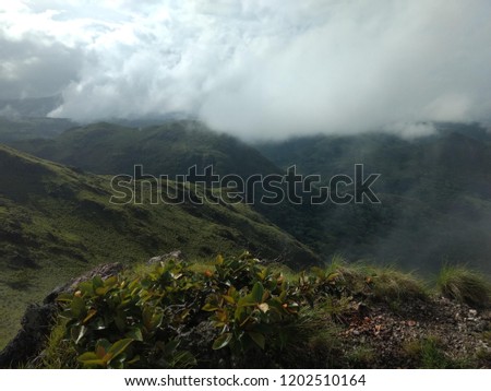 Beautiful landscape and a few leafs from Costa Rica (Cerro Pelado)