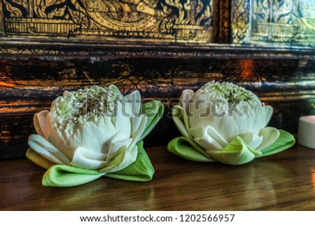 White lotus flower space on wood floor