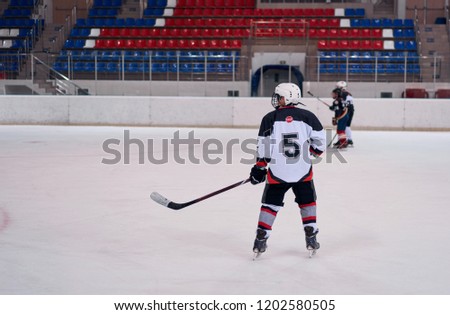 ice-hockey players on the ice