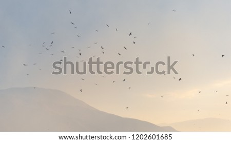 many kites in the sky against the backdrop of the mountain during sunset
