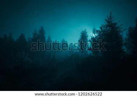 Night mysterious landscape in cold tones - silhouettes of the forest trees in front of the full moon and dramatic night sky.