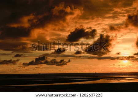 Scenic sunset at the sea coast. horizon silhouette branch landscape.