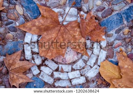 Background stoned with dry leaves