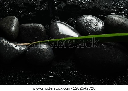 black massage stones and plants