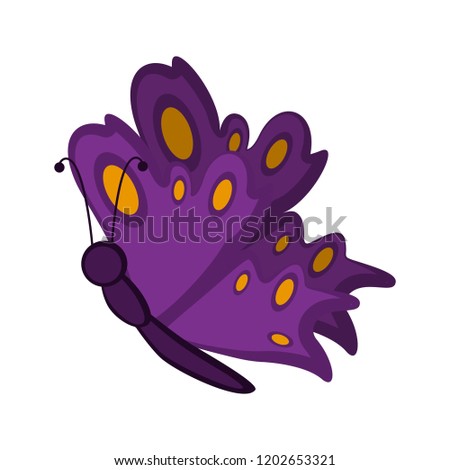 Isolated cute butterfly icon. Vector illustration design