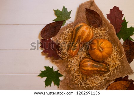 Autumn background with yellow, green, brown leaves and pumpkins. Fall vegetables harvest on rustic wooden table with copy space. Mockup for seasonal offers and holiday post card, top view. Toned image