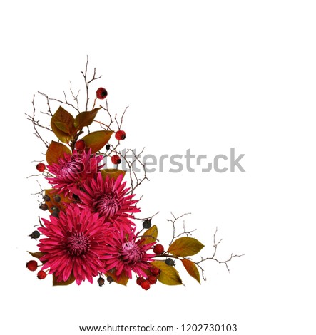 Purple chrysanthemum flowers and autumn dry twigs in a corner arrangement isolated on white background. Top view. Flat lay. Royalty-Free Stock Photo #1202730103