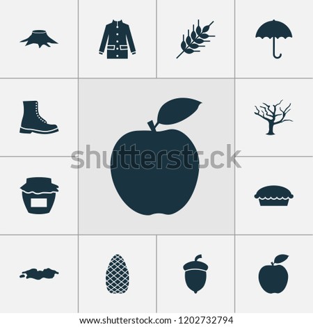 Season icons set with boot, apple pie, oak nut and other acorn elements. Isolated vector illustration season icons.
