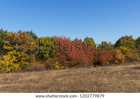Autumn landscape of Cherna Gora (Monte Negro) mountain, Pernik Region, Bulgaria