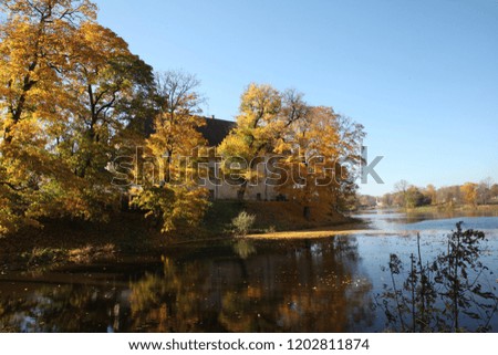 
Fall, autumn. Trees with golden leaves, pond or river, medieval castle on background
