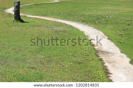 Cement path on lawn at the park