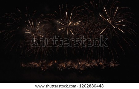 Colorful fireworks on black sky background