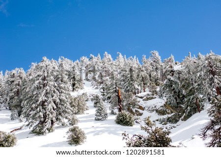 Baldy Mountain in Winter
