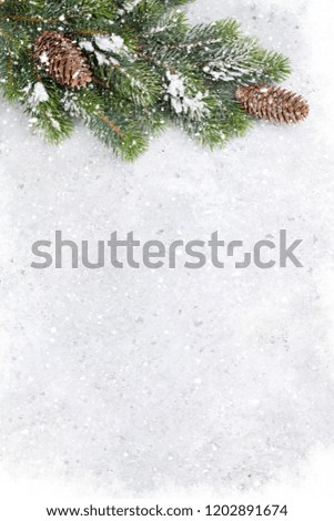 Christmas fir tree branch covered by snow on stone background. Xmas backdrop for your greeting card with space for text