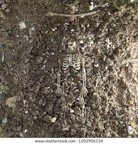 Top view Square Photo of Skeletons with Soil and Cross background. Happy Halloween Day concept.