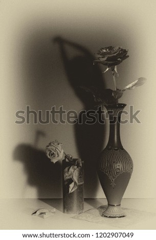 A young blooming rose in a graceful vase and a withered rose in an old wooden vase with falling shadows of a slender girl and an old woman.
