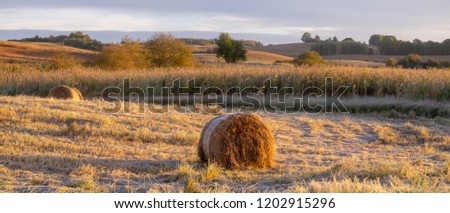 panorama of fields and meadows on a magnificent misty and sunny morning. landscape picture resembling Italian Tuscany. Autumn, Poland, Drawsko Lake District