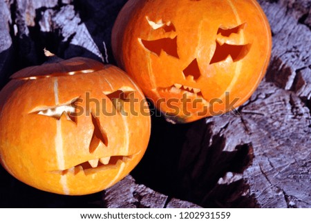 Halloween pumpkins couple on old wooden gray dark cracked surface background, top view