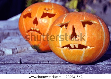 Halloween pumpkins couple on old wooden gray dark cracked surface background