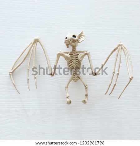 Halloween holiday minimal top view image of bat skeleton over white wooden background