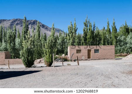 Adobe house with trees in the mountains in Catamarca, Argentina, South America