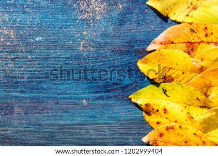 Bright yellow leaves as a frame on a wooden board colored in blue with golden sparkles and copy space for text. Concept of autumn background, Indian summer, sunny fall, positive mood