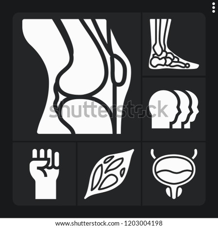 Set of 6 male filled icons such as muscle, knee, bladder, ankle, fist