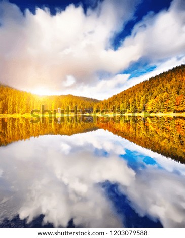 The Autumn forest lake reflection landscape. Forest lake trees in autumn season panorama. Autumn lake in autumn forest.