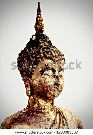       Buddha images at Ayutthaya                        