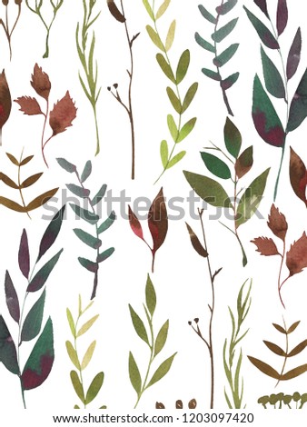 Background with leaves and herbs. Botanical illustration for your design
