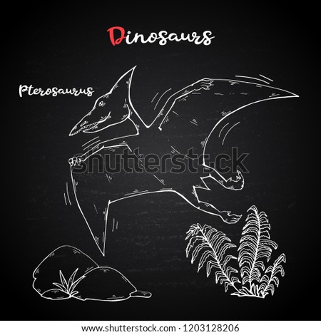 Vector Pterosaur with plant and stone on chalk blackboard.Jurassic Wildlife.Wild animals dinosaurus.Animal character.Wild creatures of the Jurassic period.White dinosaurus Silhouette
