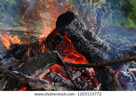 bonfire outdoor camp