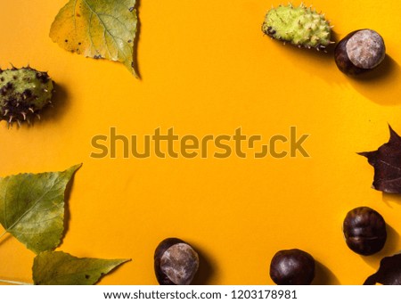 a orange paper background with leaves and chestnuts