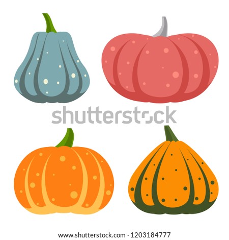 Pumpkin flat icons set. Sign kit of halloween. Thanksgiving pictogram collection of farm harvest, closeup squash vegetable. Simple pumpkin cartoon color icon symbol isolated white. Vector Illustration