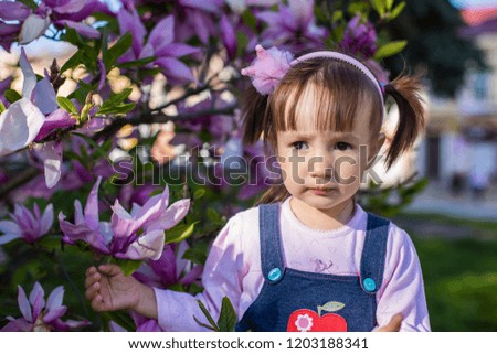 girl portrait 2 years old against the background of blooming magnolia. Portrait of a 2 year old girl. 