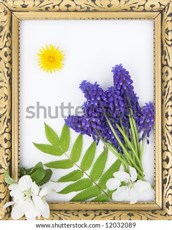 spring flowers with golden frame