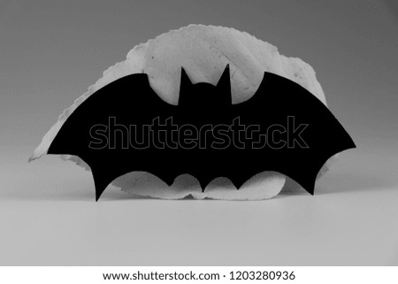 A black and white bat on grey background. Usually decoration on halloween party. Scare