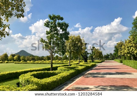 Beautiful path with trees and sky.
