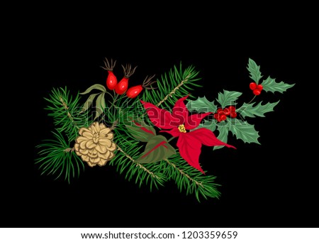 Christmas decoration, a wreath made of fir branches, puancetti, pine, holly, mistletoe, dog rose. Isolated on black background. Colored vector illustration.
