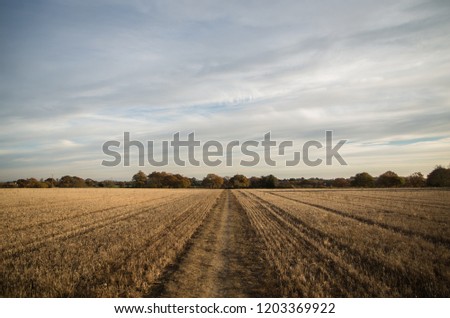 Plain fields in England.