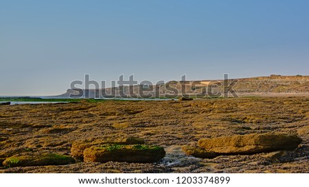 Rock beach along the north sea with cliffs of the Opal coast in the background in warm evening ight, Nord pas de alais, France 