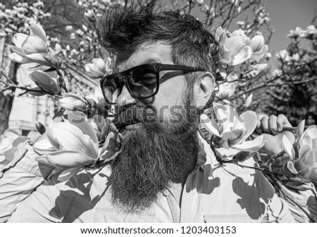 Guy looks cool with stylish sunglasses. Man with beard and mustache wears sunglasses on sunny day, magnolia flowers on background. Springtime concept. Hipster happy with fashionable sunglasses.